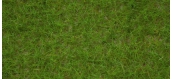 NOCH 07082 Herbe de champs, vert clair